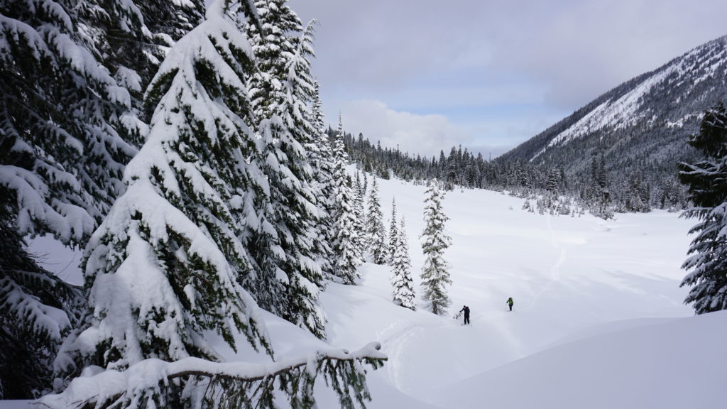 Getting back on our skin track up Tamanos Mountain in Mount Rainier National Park