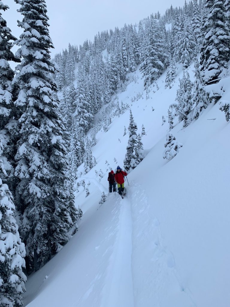 Ski touring on new snow in Bullion Basin