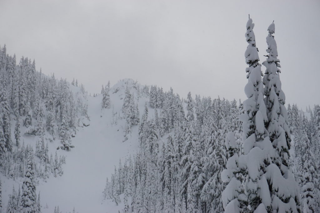 Looking at the Gunbarrel in Silver Basin in the Crystal Mountain Backcountry