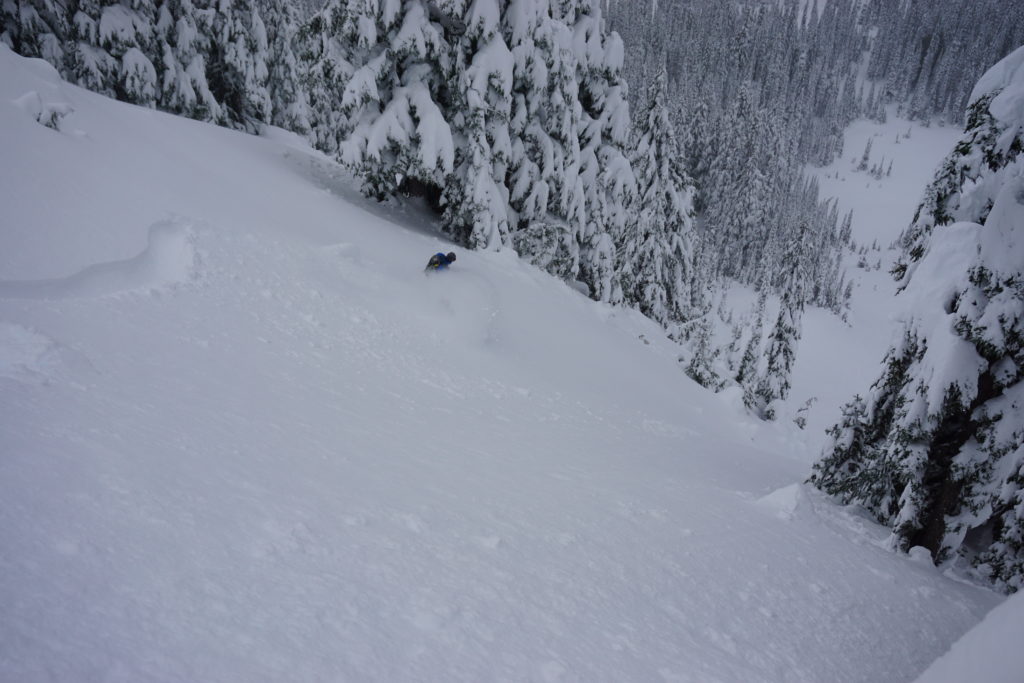 Finding a beautiful open glade Gunbarrel in the Crystal Mountain backcountry