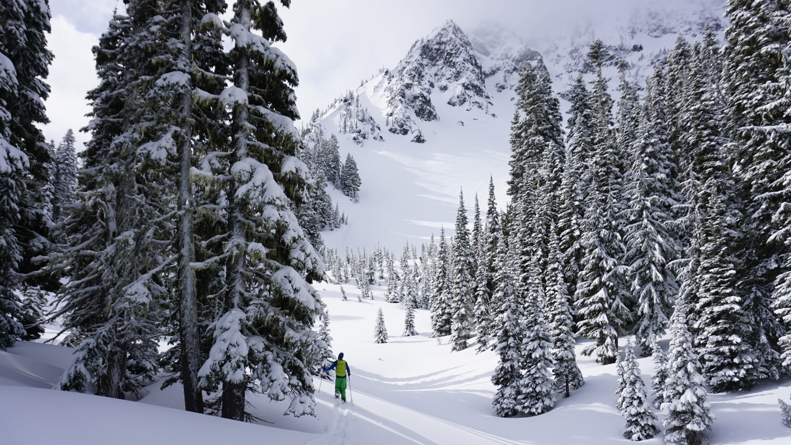 Putting in a skin track to Tamanos Mountain in Mount Rainier National Park