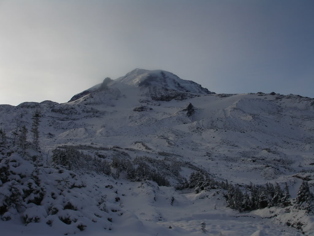 Looking at Spray Park and the Flett Glacier Headwall in Mount Rainier National Park