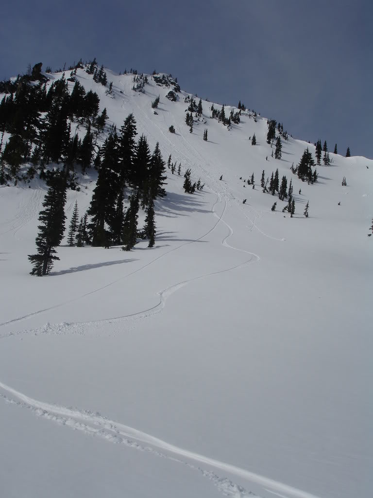 Looking back at our tracks into Morse Creek