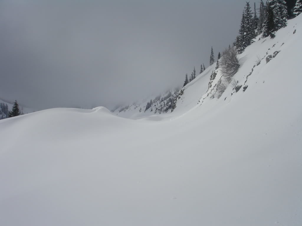 Highway 410 midwinter on the East side of Chinook Pass