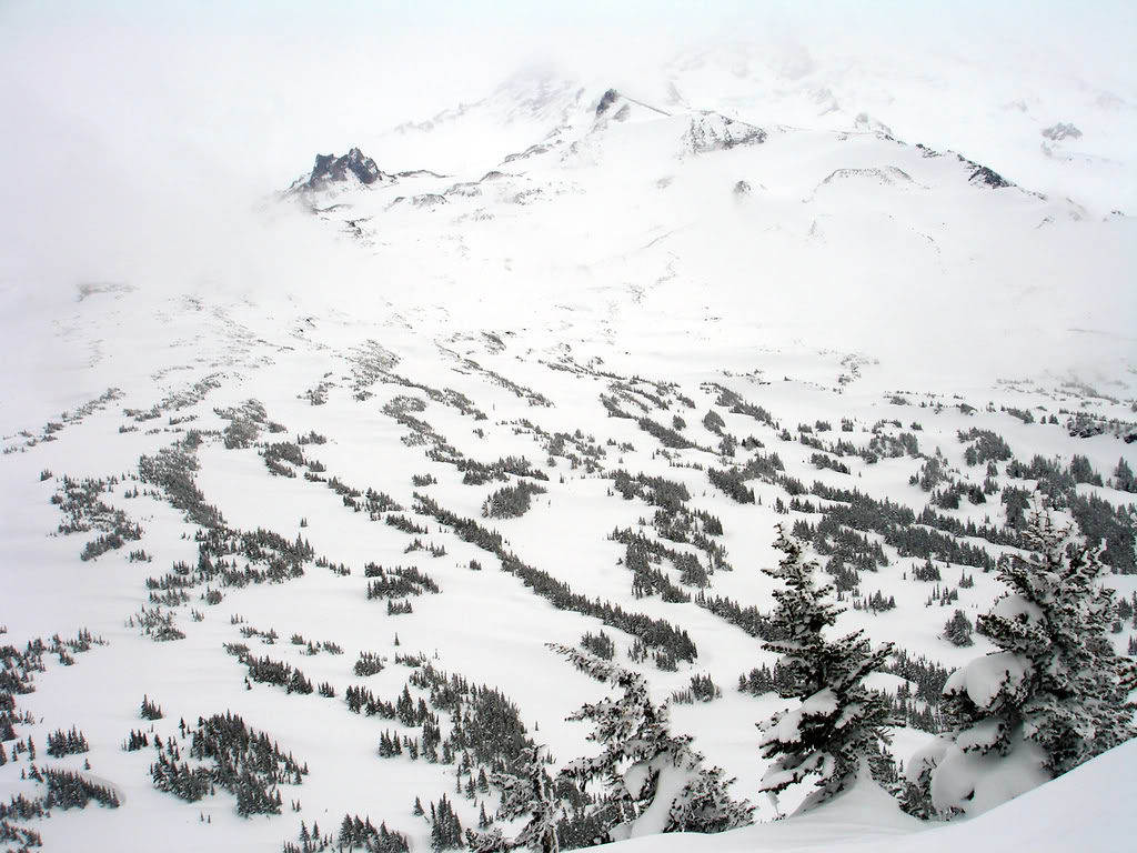 Looking into Spray Park in winter in Mount Rainier National Park