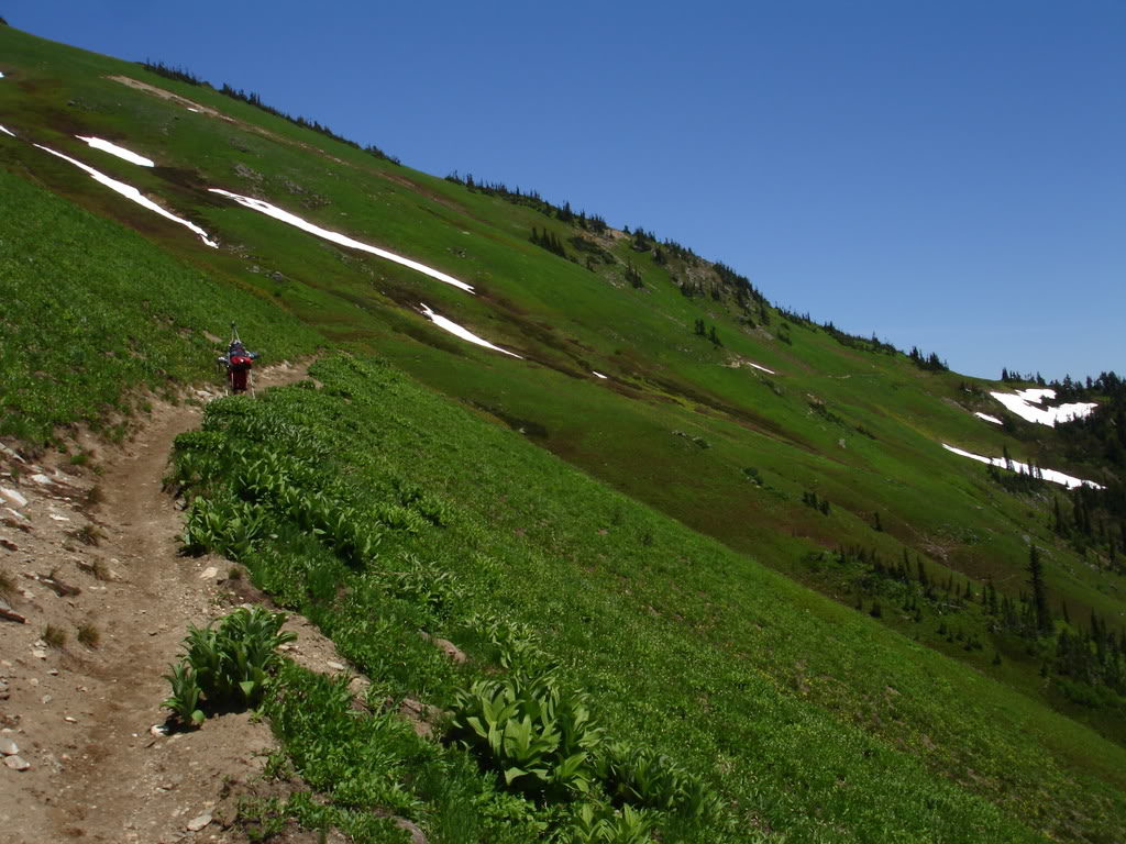 The traverse through alpine to White Pass