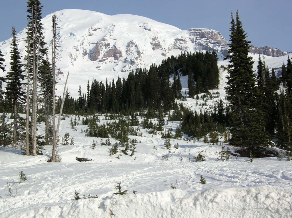 Mount Rainier from Paradise