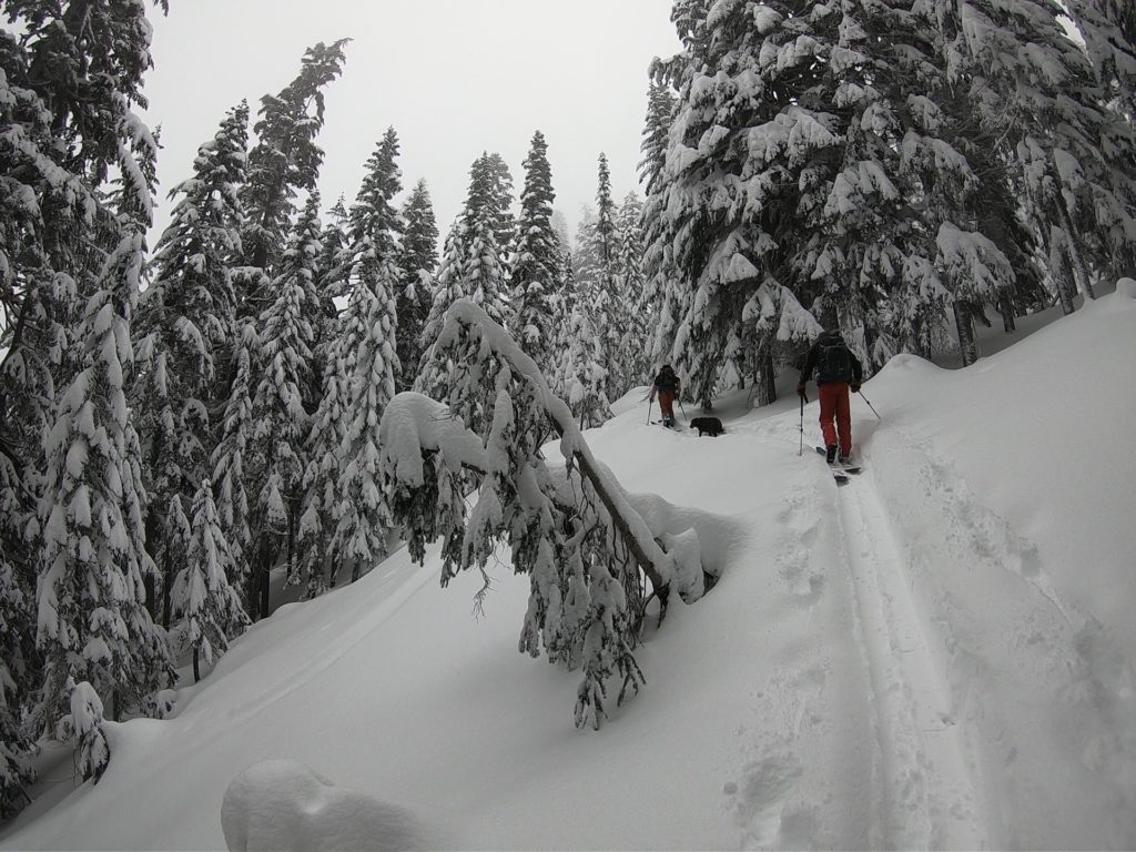 Breaking trail up on Heather Ridge