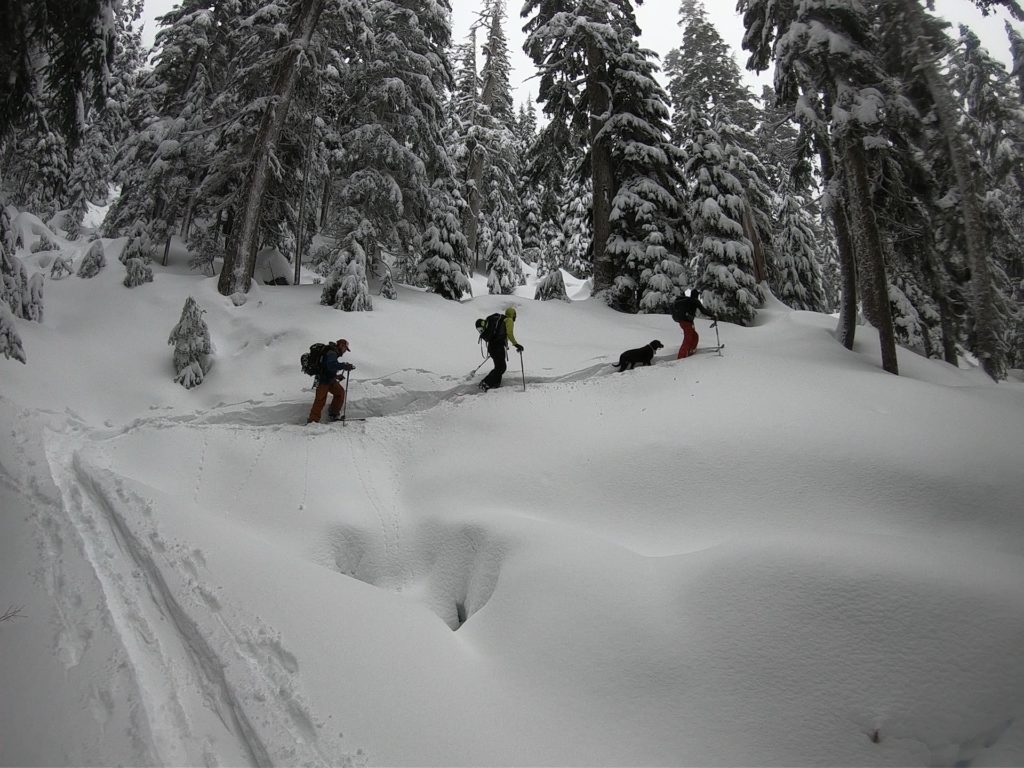 Breaking trail up on Heather Ridge