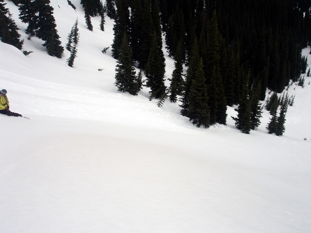 Nasty wet slide avalanches on Corral Pass in the Crystal Mountain Backcountry
