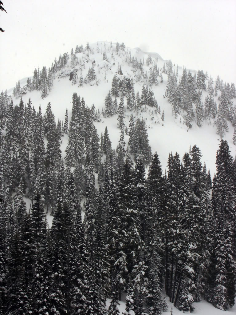 Looking back up at the Dog Leg Chute in the Crystal Mountain Backcountry