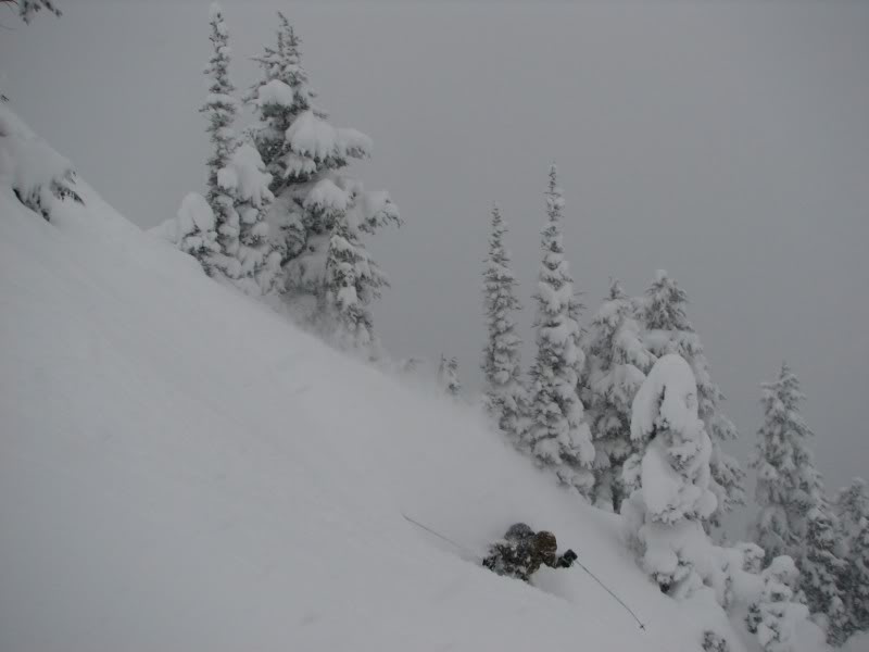 skiing down East Peak in the Crystal Mountain ski resort backountry after a storm