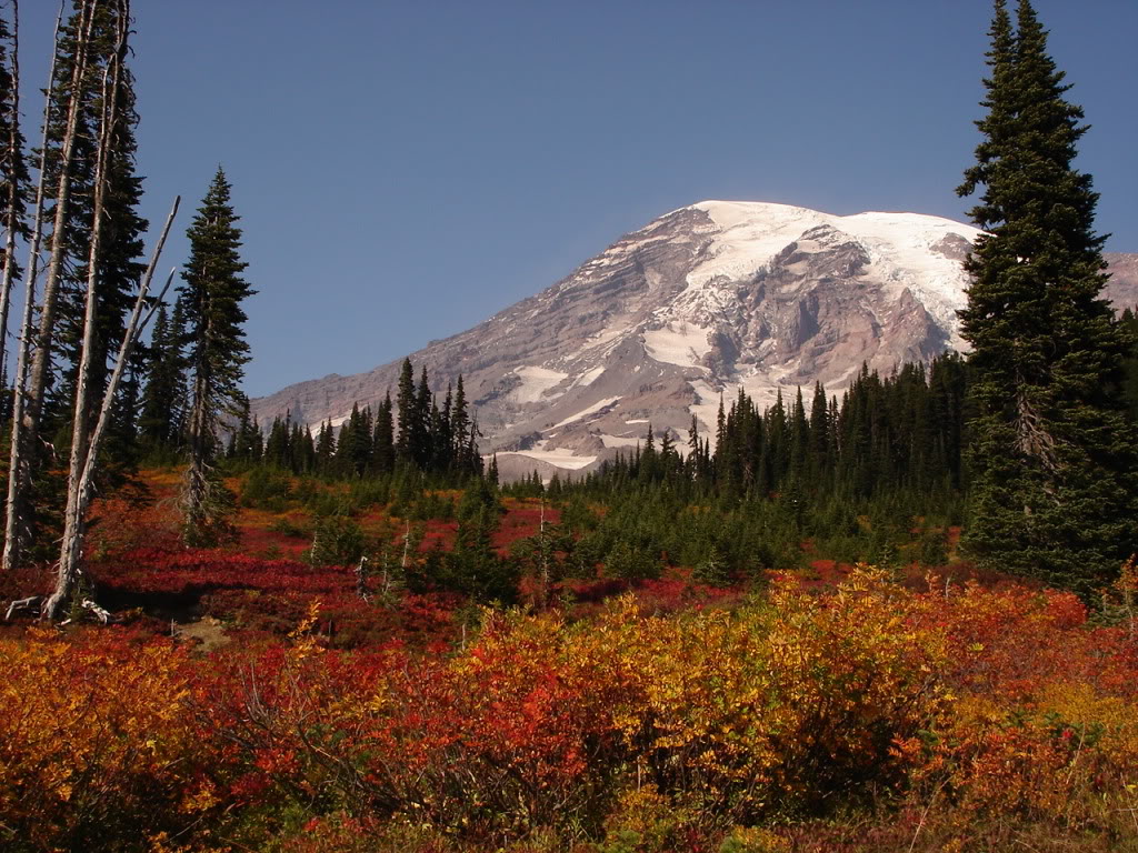 Autumn color at Paradise