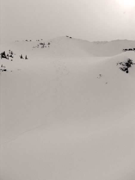 Our ski touring tracks down Fay Peak in Mount Rainier National Park