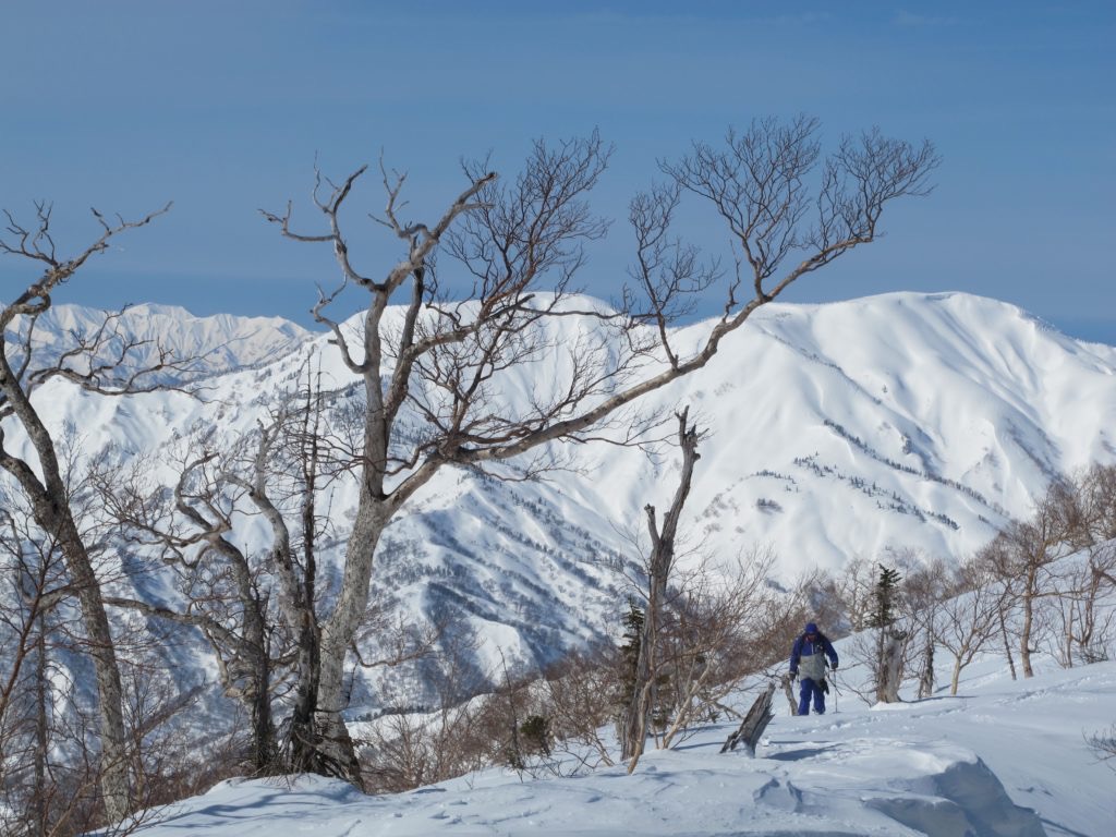 MyokoKogenBackcountry