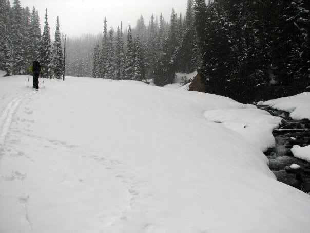 Skinning into the Glacier Basin