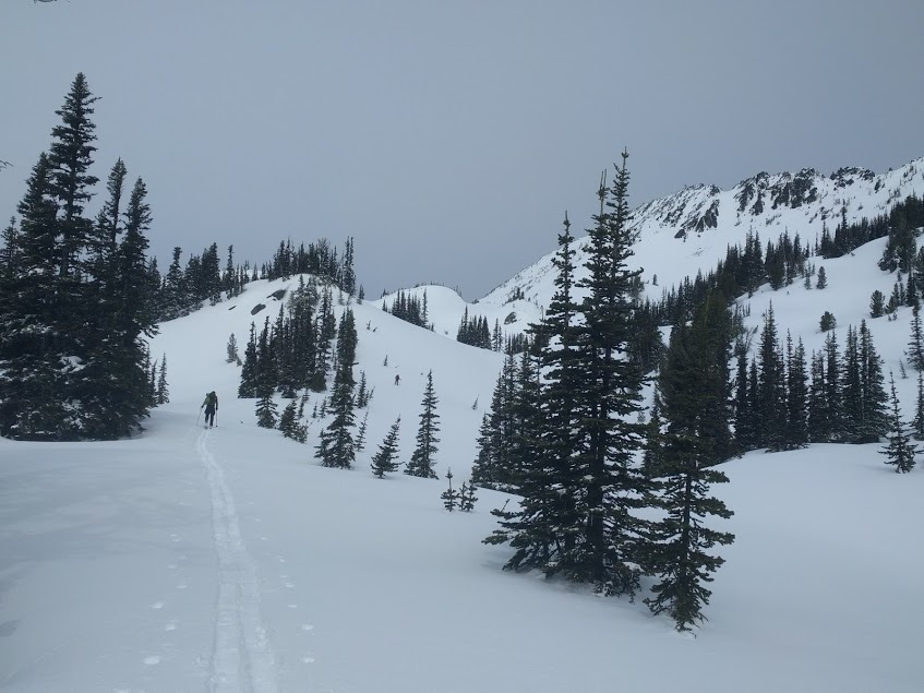 Skinning past Sunrise in the winter ski touring in Mount Rainier National Park