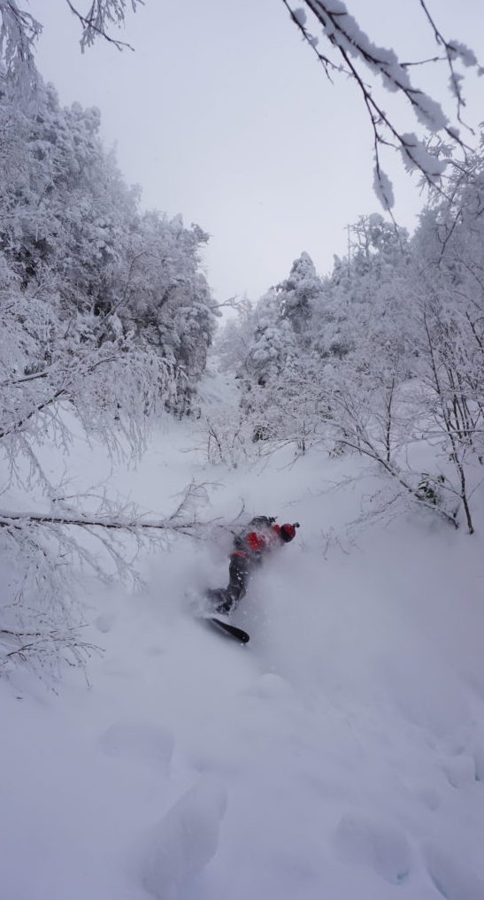 Snowboarding in the Shigakogen Backcountry