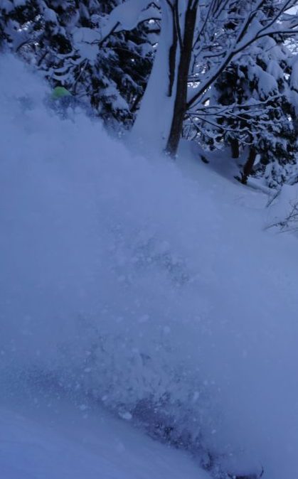 Yet another powder day snowboarding in Japan