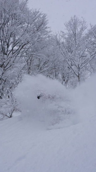 A great powder day in Japan