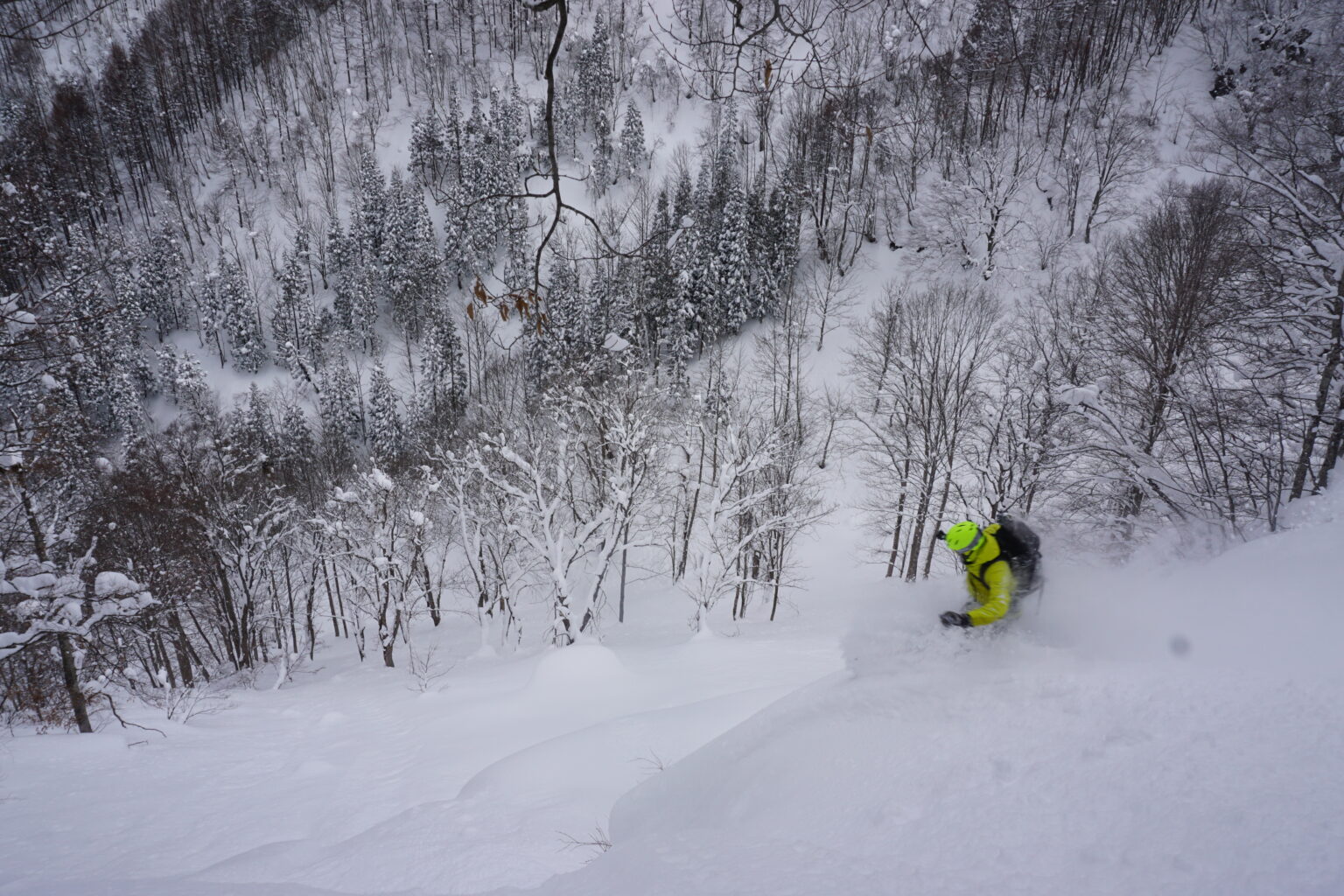 Powder day in the Japan Backcountry