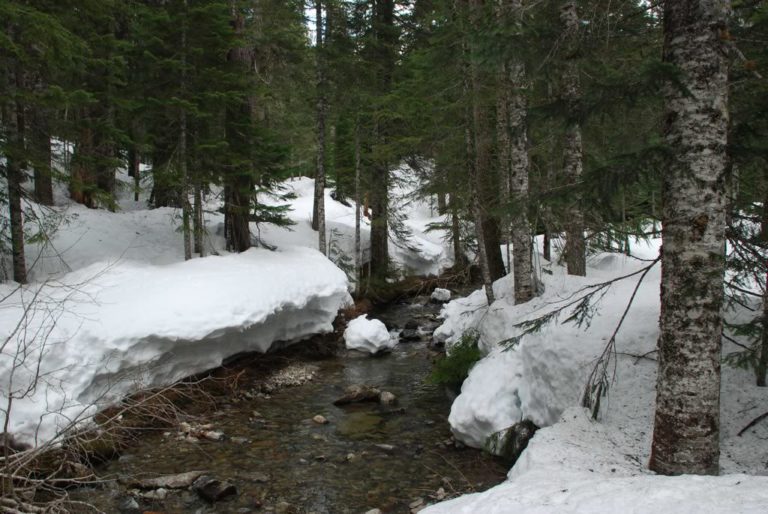 The start of the Pratt River