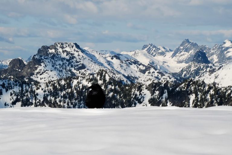 Looking back at Snoqualmie Mountain to the left and Over Coat peak in the distance