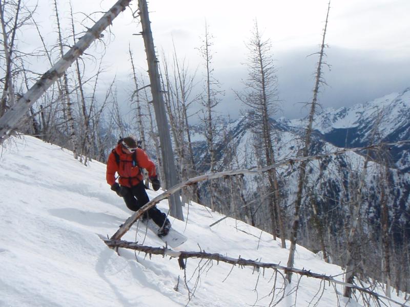 Snowboarding down the burnt forest