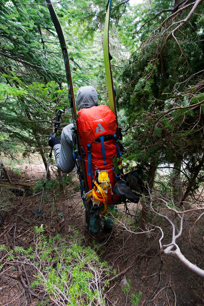 Hiking down to the PCT