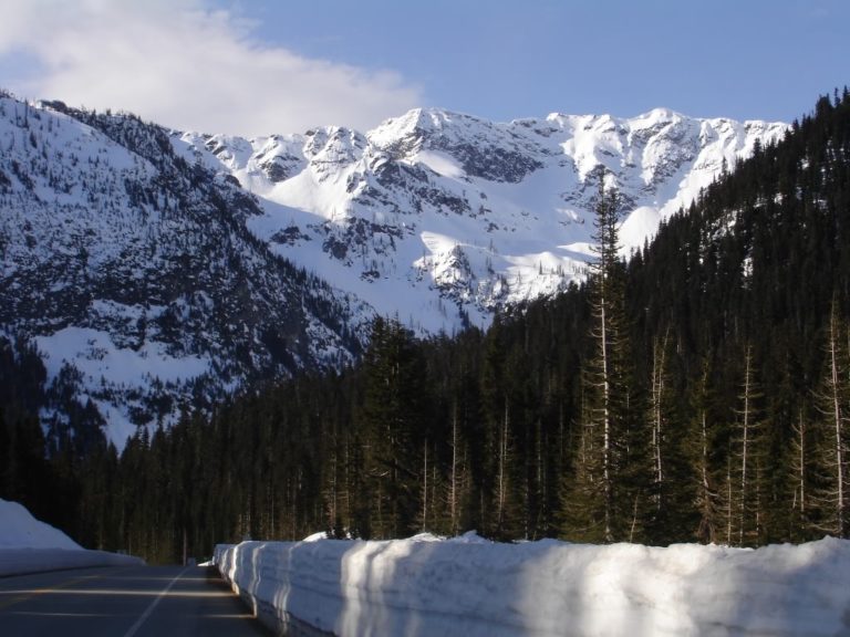 Looking towards Frisco Mountain and the Lyall Glacier