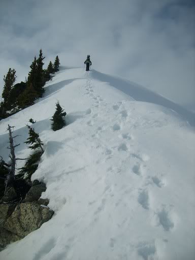 hiking up to the sub peak of Frisco Mountain