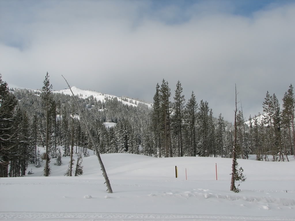 Looking up the slopes of Mount Bailey