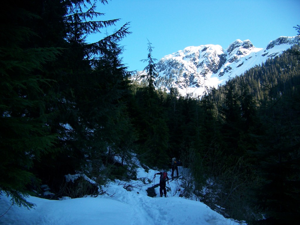 Hiking the trail towards Shannon Ridge