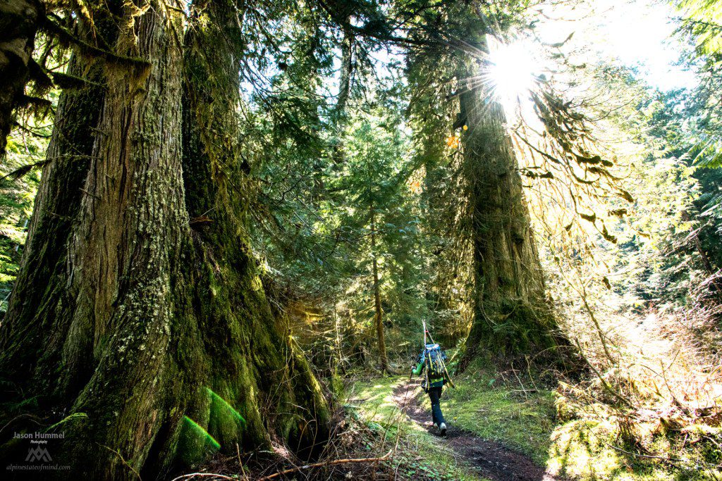 Hiking up the North Fork of the Sauk River on our trip from Sauk River to Highway 2