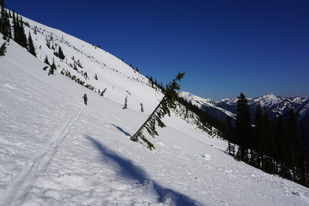 Gaining the Alpine above the North Fork of the Sauk on our trip from Sauk River to Highway 2