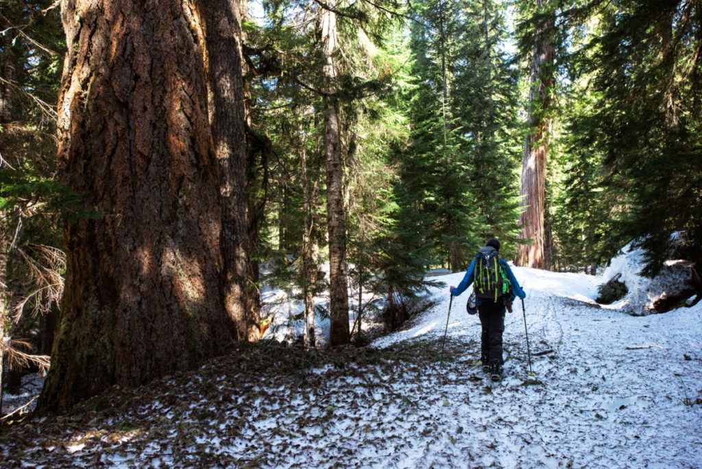 Following the road towards the PCT trailhead