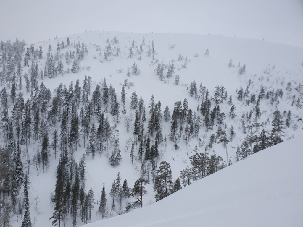 Looking back at our runs in the Pyhä Backcountry