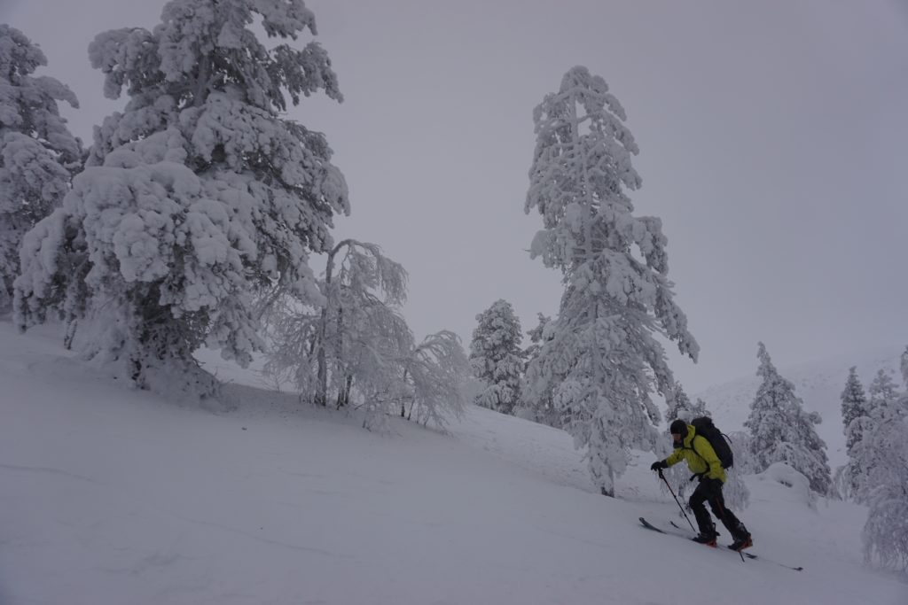 Skinning towards the alpine