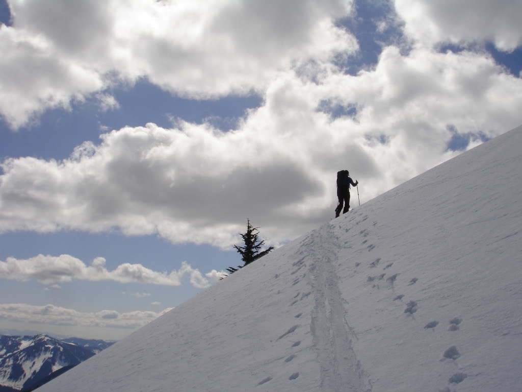 Ski touring in Commonwealth Basin