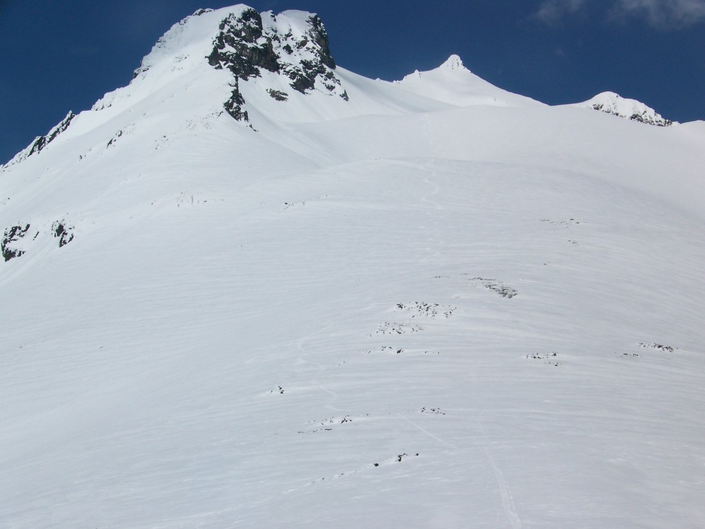 Looking back at the snowboard tracks down the Sahale Arm