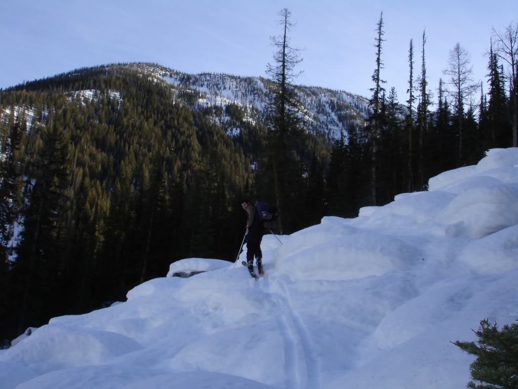 Ski touring into the forests below Silverstar