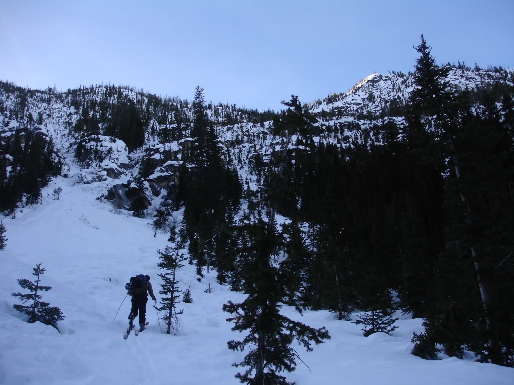 We skinned through dense woods but slowly got into more alpine conditions