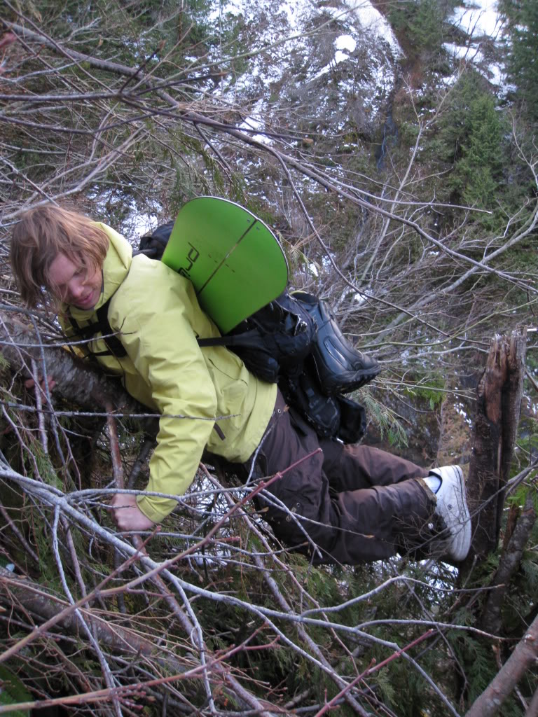 Bush whacking through the dense forest on Whitehorse Mountain