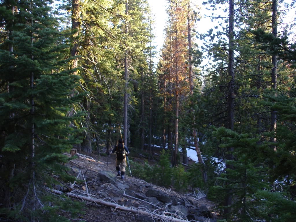 Once we reached 6’500 feet we did a long traverse back to the car