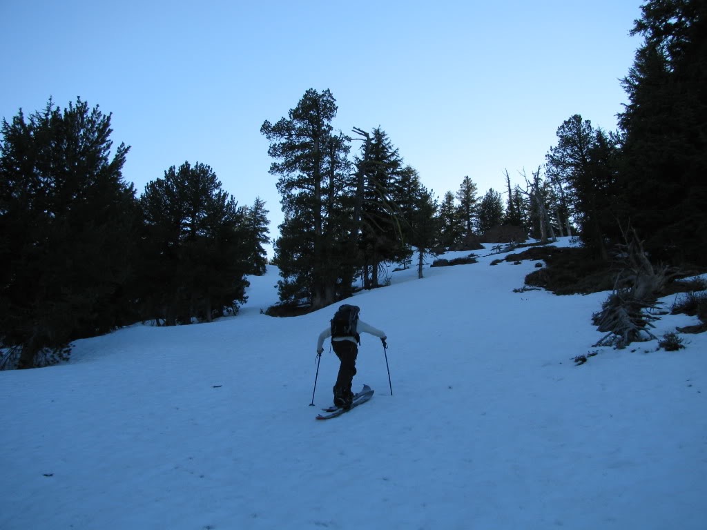 Skinning up the now bulletproof snow