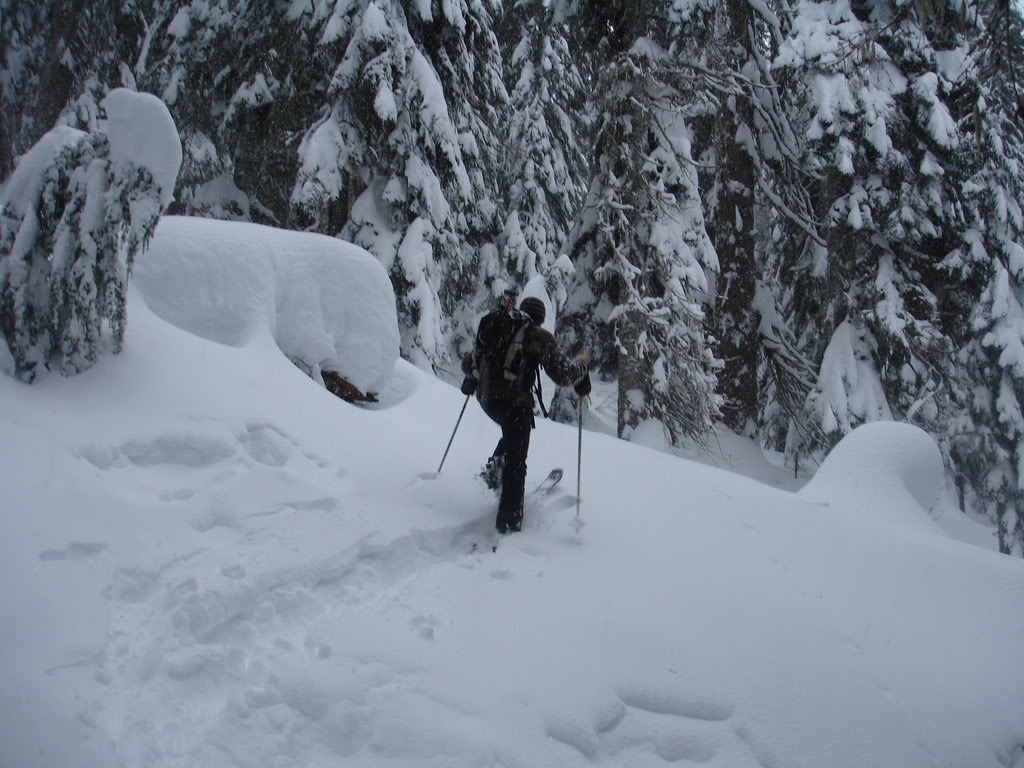 Breaking trail towards Kendall Stumps from Snoqualmie Pass