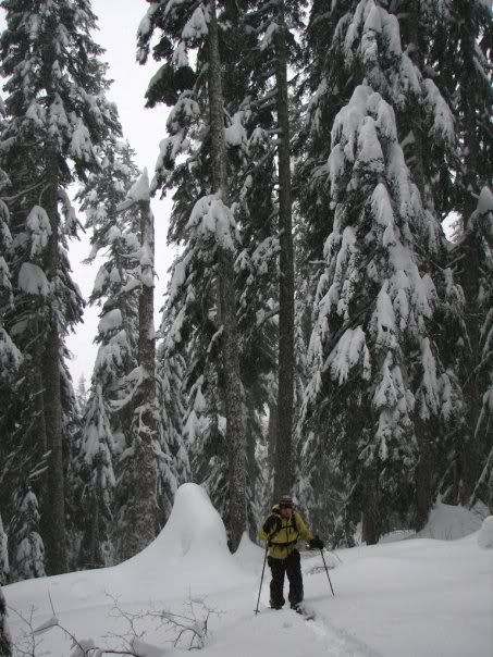 Ski touring up Kendall Stumps