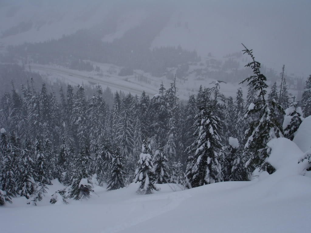 Skiing down Kendall Stumps with Snoqualmie Pass in the background