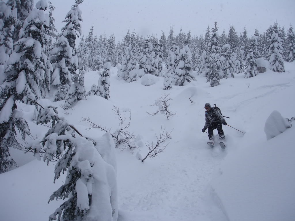 Scott skiing great snow on Kendall Stumps