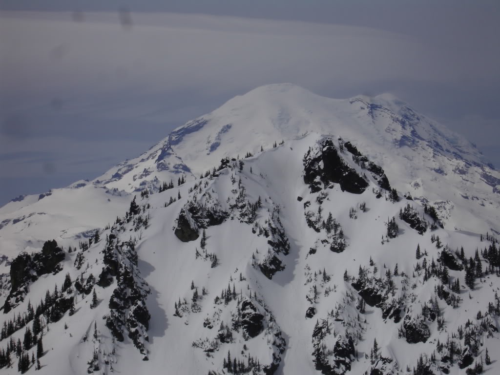 A closer view of the upper portion of the Sheep Lake chute with our tracks in it